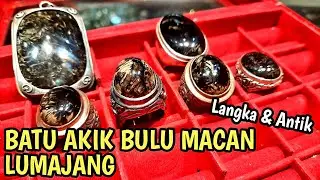 BATU AKIK BULU MACAN ASLI LUMAJANG - INDONESIA || ANTIK & LANGKA #batuakik