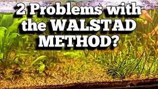 The 2 Big Lies About the Walstad Method: Why the Hobby Gets It Wrong!