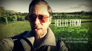 Hello from Denbies Wine Estate in England