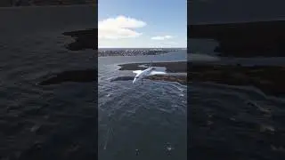 Low-Flying Planes Battling Stormy Skies! - 314