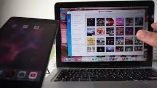 Cómo recuperar mensajes de texto borrados, fotos y más desde dispositivos IOS/Android sin root