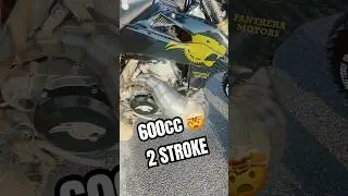 600cc two stroke 🤯 This is the Black Panther 600 fueled by MX 9 #shorts #2stroke #mx #600cc