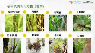 Transform Micro Soil Product Insight