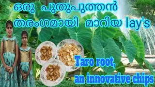 ചേമ്പ് ഉപ്പേരി, ചേമ്പ് വറവ്,taro root chips,colacasia fry,Kids easy preparation of chips or lay's