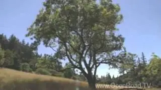 Opent Road TV: California's Lost Coast