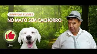 NO MATO SEM CACHORRO- RODRIGO FLORES ( Se eu soubesse eu n&atilde;o ia!) 🎵😱