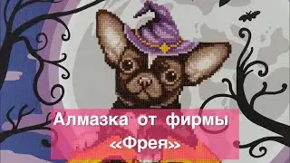 Первая алмазная мозаика от фирмы «Фрея»🐕 #алмазка #алмазнаямозайка #алмазнаявышивка