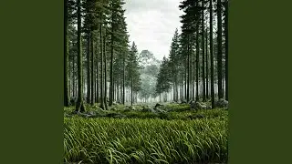 Nature's Echoes 2