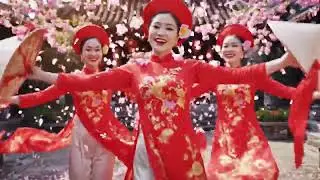 Roots and Resonance — Vietnam in Every Note