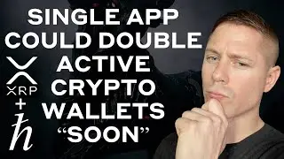 HBAR Weekly Update &ndash; HBAR and XRP Meet, Hatachi, Xeni, Hedera DeFi and Much More!