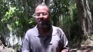 Relapse Prevention! How to stop using? Lonely? Sober Companion Coach
