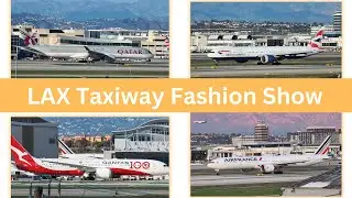 Aircraft Livery Showcase at LAX | The Ultimate Plane Spotting Fashion Show