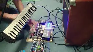 Melodica through effects pedals with high feedback!