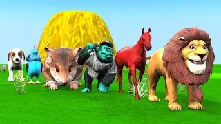 Paint & Animals Cat, Pig, Rabit Buffalo, Lion Fountain Crossing Transformation Animal Cartoon - P1