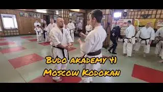 bunkai Kanchin kata / Rybin Evgeny / Okinawa Uechi ryu karate / Budo akademy No 41