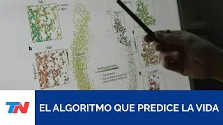 En Dinamarca, un algoritmo predice la vida y la muerte