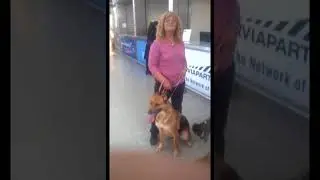 Animalinneed.com