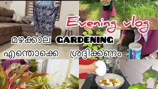 Evening vlog#plants caring❤️kadamutta masala#palkappa💕