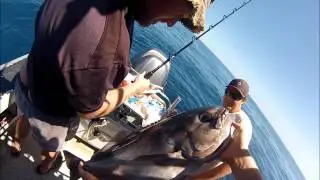 Bluenose Fishing White Island New Zealand 2017