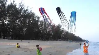 3 Octopus Kites @ Saeng Arun Beach, Thap Sakae, Prachuap Khiri Khan (2)