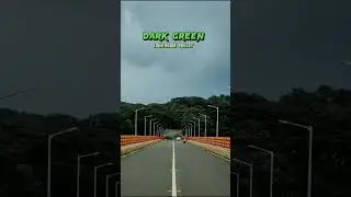 Dark green lightroom preset/lightroom photo editing tutorial/presets #shortvideos #editingtutorial