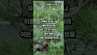 말씀찬양 성경암송 37 마태복음 1:21 예수 이름의 뜻