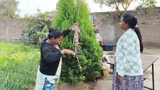 नये साल के जाते ही सारा सजावट निकल दिये // hamare ghar aaya sweet potato 🍠 🍠@shairomandvlog123 