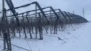 Fruit picking work in winter season Romania 🇷🇴 | agriculture work Europe 