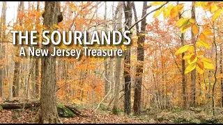 The Sourlands A New Jersey Treasure Trailer
