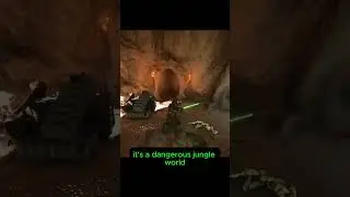 Why aren't there MORE Wookiee Jedi?