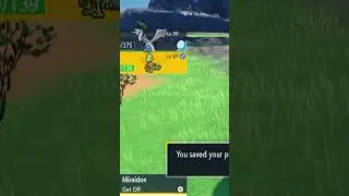 Just Caught myself a Shiny Treecko in Pokemon Violet