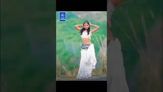Mor Rani Naache | Pop Ankit & Tanu | Vinay Kumar & Divya | New Nagpuri Song 2025