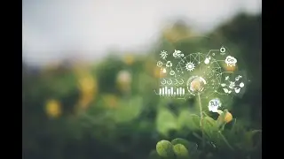Certification for Food Sustainability
