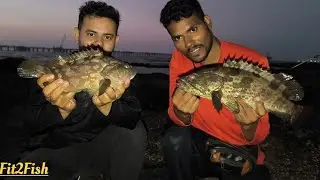 Big size Grouper Fish Caught | Sea Fishing Never Seen Before