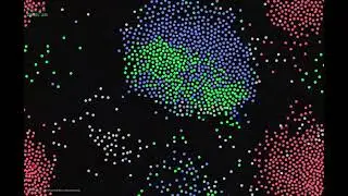 Cyclic Dominance in Boids