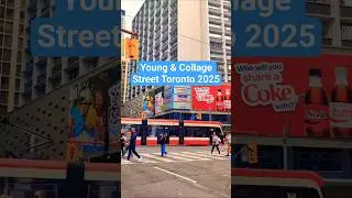 Toronto Street #reels #ttc #toronto #canada #youtube #shorts #video #viral #fyp #explore #travel