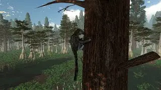 Saurian - Juvenile Gliding