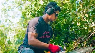 Tree Work | Yard Renovation for Airbnb | Tree Removal + Brush Clearing