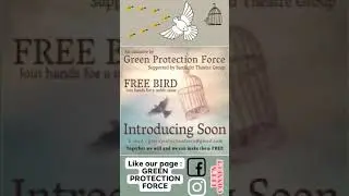 FREE BIRD DRIVE