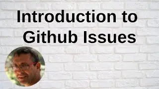 Introduction to Github Issues