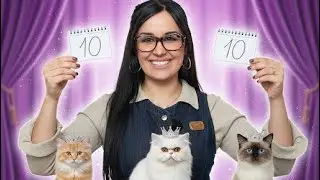 نهاية المدرسة 🔔 ومســابقة ملك جمال القطط 👑🐱