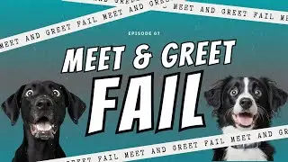Meet & Greet Mistakes Most Pet Sitters Don&rsquo;t Realize They&rsquo;re Making | EPISODE 67