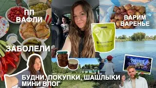 Vlog 3 | Южные будни, Распаковка, Варим варенье, ПП вафли и готовим омлет-медведь