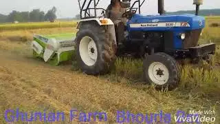 Paddy chopper