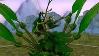 Spore forest god dragon