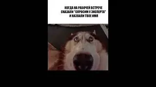 #россия #юмор #юмористическийконтент #эксперт #sos #help