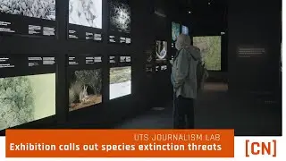 Фотовыставка выявляет угрозы вымирания видов