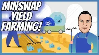 Minswap Yield Farming Tutorial and Tips!