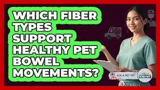Which Fiber Types Support Healthy Pet Bowel Movements?