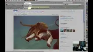 Social Media Toolbox Tutorial: How to Pin Images from the Web to Pinterest